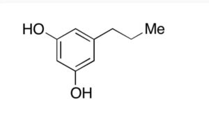 5 Propylbenzene 13 diol 500 49 2