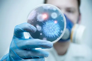 Chemical Raw Materials