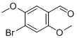 4 Bromo 25 Dimethoxybenzaldehyde CAS 31558 41 5 2