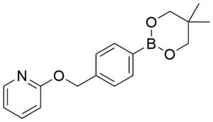 2 4 55 dimethyl 132 dioxaborinan 2 ylbenzyloxypyridineCAS 1166997 30 3 2